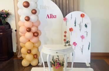 O Baby Shower da Alba